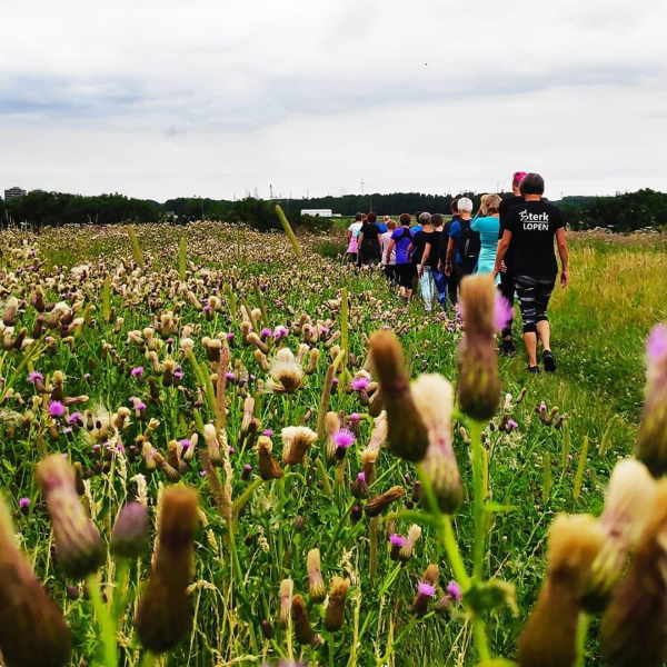 Sportief-wandelen-Powerwalking-Vlaardingen